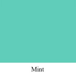ORACAL 651 MINT 055